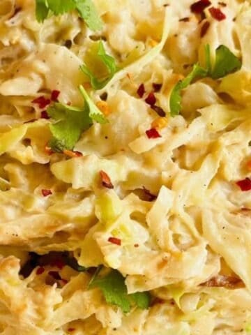 Vegan Cabbage Alfredo